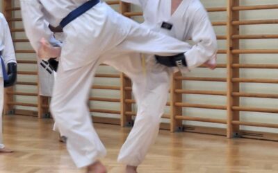Kinder- und Jugendtraining – Taekwondo