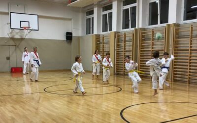 Taekwondo-Training  (Video)