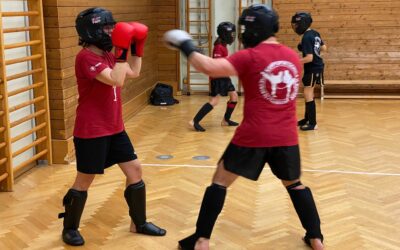 Thaiboxen