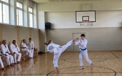 Aktuelle Taekwondo Stunden