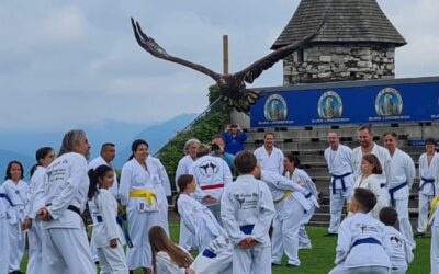 Greifvogel trifft auf Kampfsporttraining