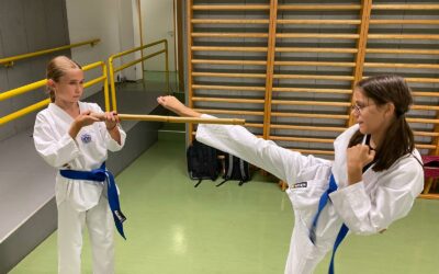 Taekwondo
