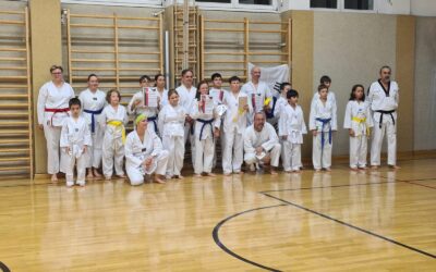 Gürtelprüfungen in Taekwondo