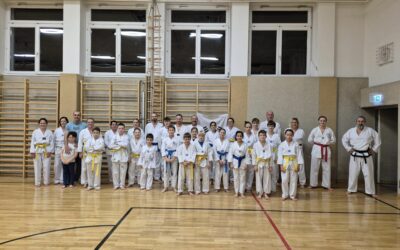 Tae Kwon Do Freitagstraining