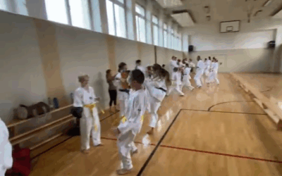 Erstes Taekwondotraining nach dem Freiluftsommer! (Video)