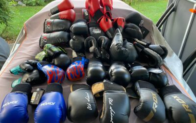 Vorbereitungen für die neue Saison