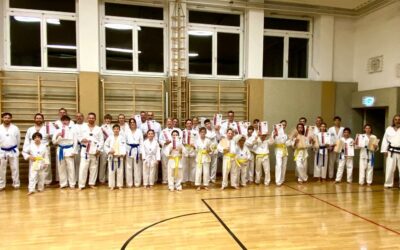 Gürtelprüfungen im TKD