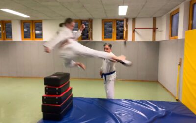 Spezialtraining Tae Kwon Do
